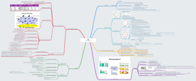 CN_Mindmap.pdf