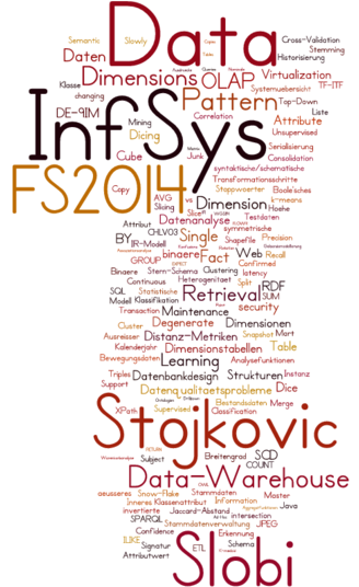 InfSys_SlobiStojkovic_FS2014.pdf