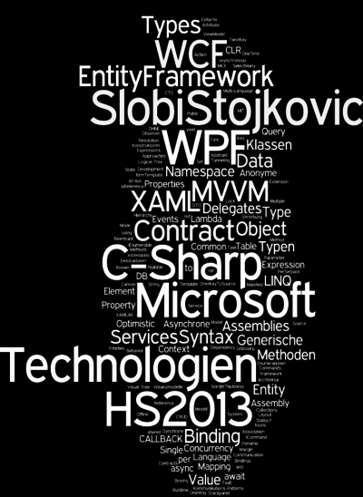 MsTe_SlobiStojkovic_HS2013.pdf