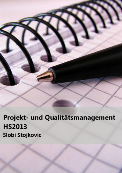 PmQm_SlobiStojkovic_HS2013.pdf