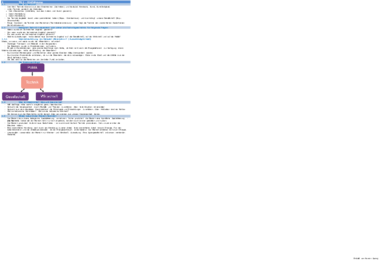 TeGesch_SpringRoman_Zusammenfassung.pdf